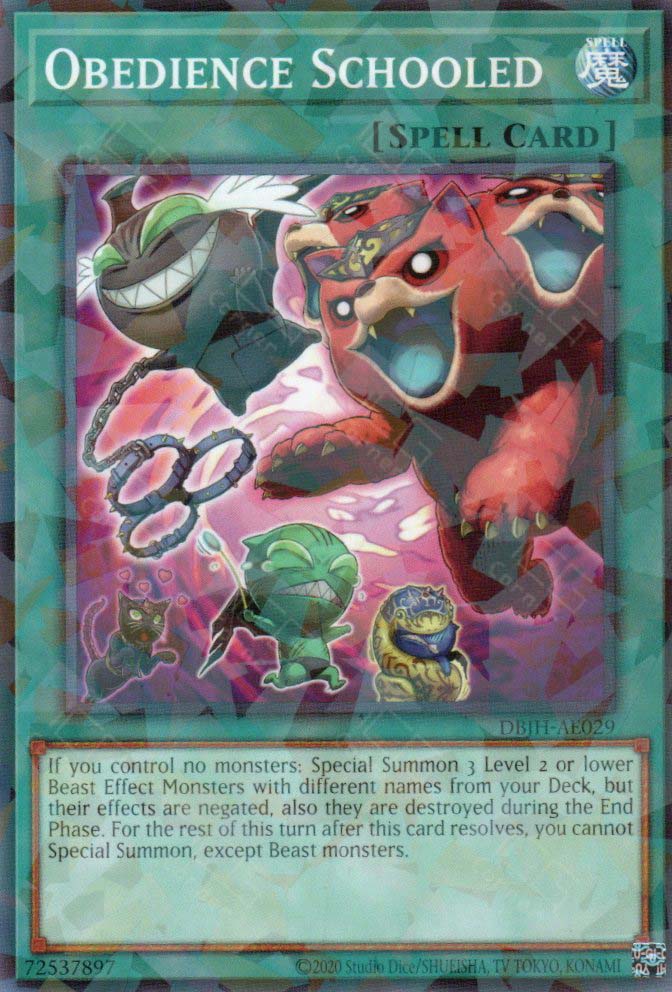 DBJH-AE029 Obedience Schooled (P-N)