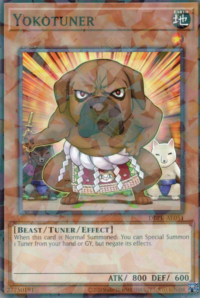 DBPR-AE051 Yokotuner (P-N)