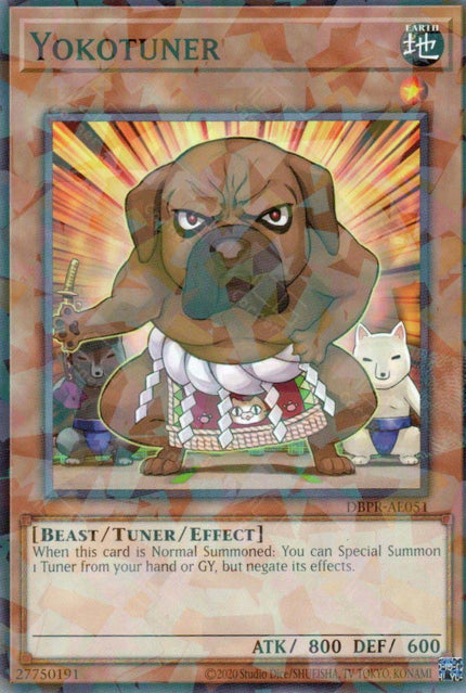 DBPR-AE051 Yokotuner (P-N)