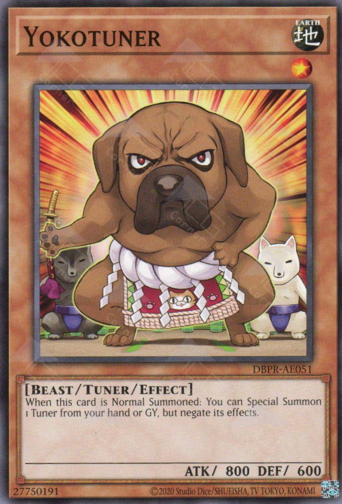 DBPR-AE051 Yokotuner (N)