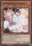 DI02-AE011 Ash Blossom & Joyous Spring (N)