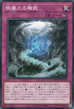 DOOD-JP076 Magnifistorming Sovereign Tyranny (N)