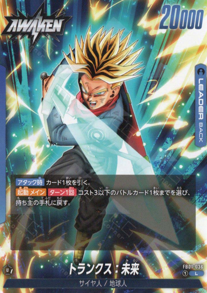 FB01-036 Trunks : Future (L)