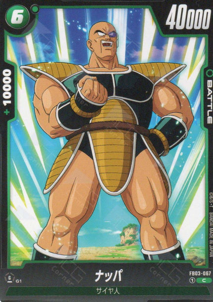 FB03-067 Nappa (C)