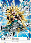 FB04-033 Gotenks (SR*)