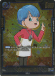 FB04-043 Bulma (Mini) : DA (R*)