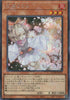 QCDB-JP021 Ash Blossom & Joyous Spring (SER)