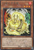 INFO-JP019 Tenpai Dragon of Genroku (R)