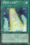 TW01-JP045 Freezing Chains of the Ice Barrier (P-N)