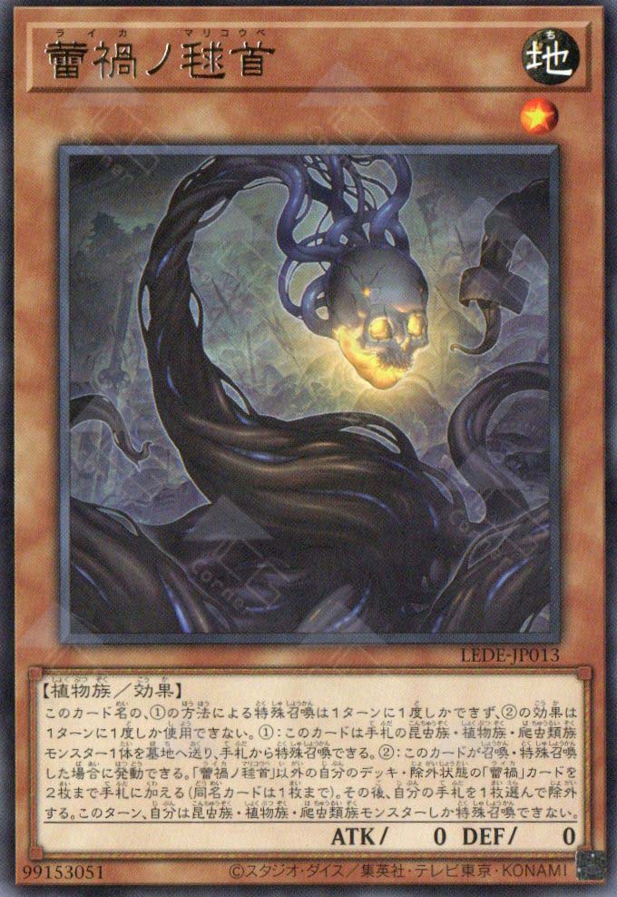 LEDE-JP013 Raika no Marikoube (R)
