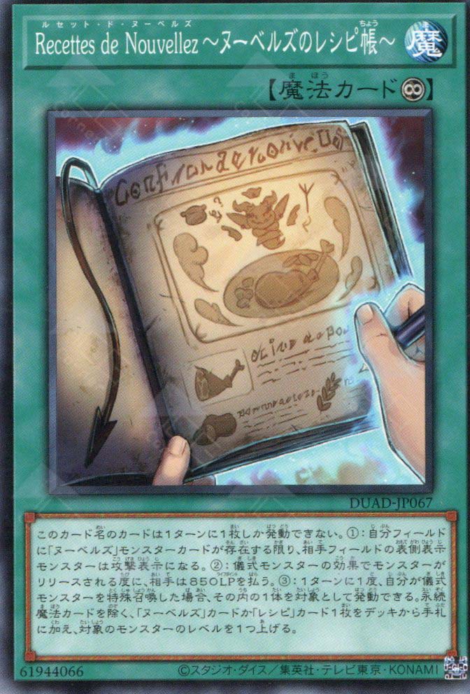 DUAD-JP067 Nouvelles Recipe Book 