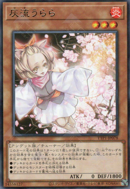 TTP1-JP078 Ash Blossom & Joyous Spring (R)