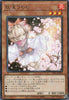TTP1-JP078 Ash Blossom & Joyous Spring (R)