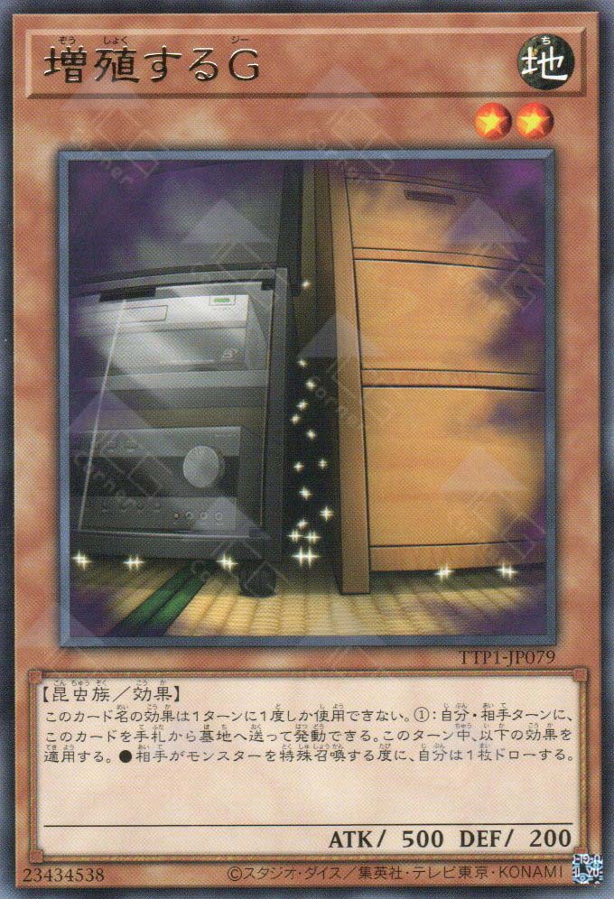 TTP1-JP079 Maxx C (R)