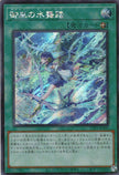 TTP1-JP069 Mikanko Water Arabesque (SER)