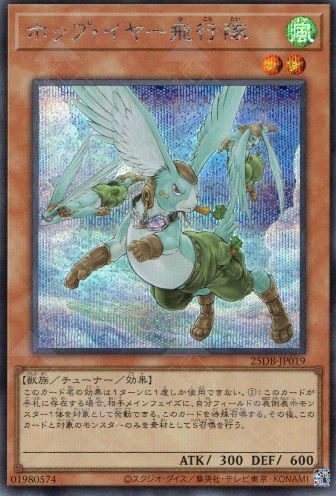 25DB-JP019 Hop Ear Squadron (SER)