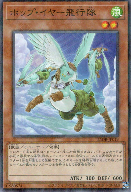 25DB-JP019 Hop Ear Squadron (P-N)