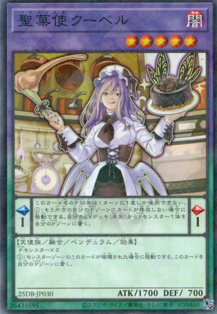 25DB-JP030 Patissciel Couverture (P-N)