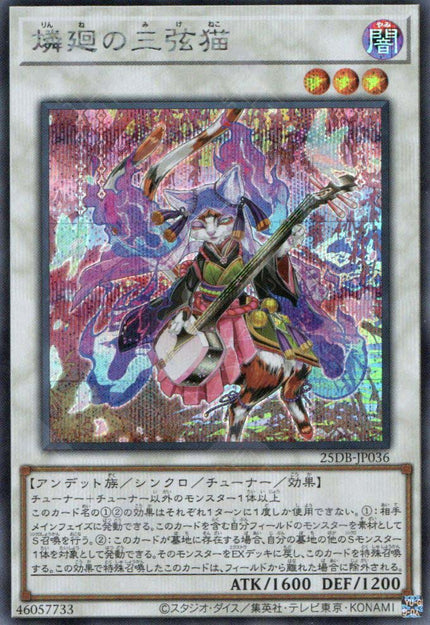 25DB-JP036 Shamisen Samsara Sorrowcat (SER)