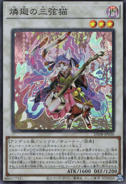 25DB-JP036 Shamisen Samsara Sorrowcat (SR)