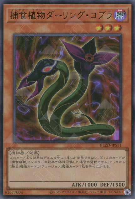 BLZD-JPS11 Predaplant Darlingtonia Cobra (UR)