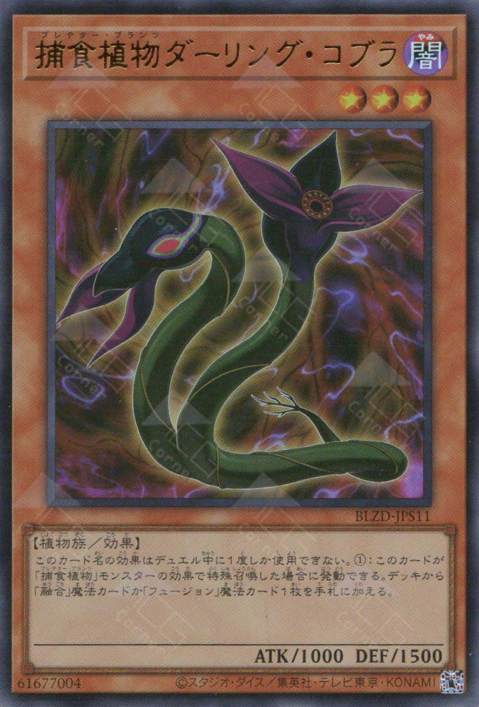 BLZD-JPS11 Predaplant Darlingtonia Cobra (UR)