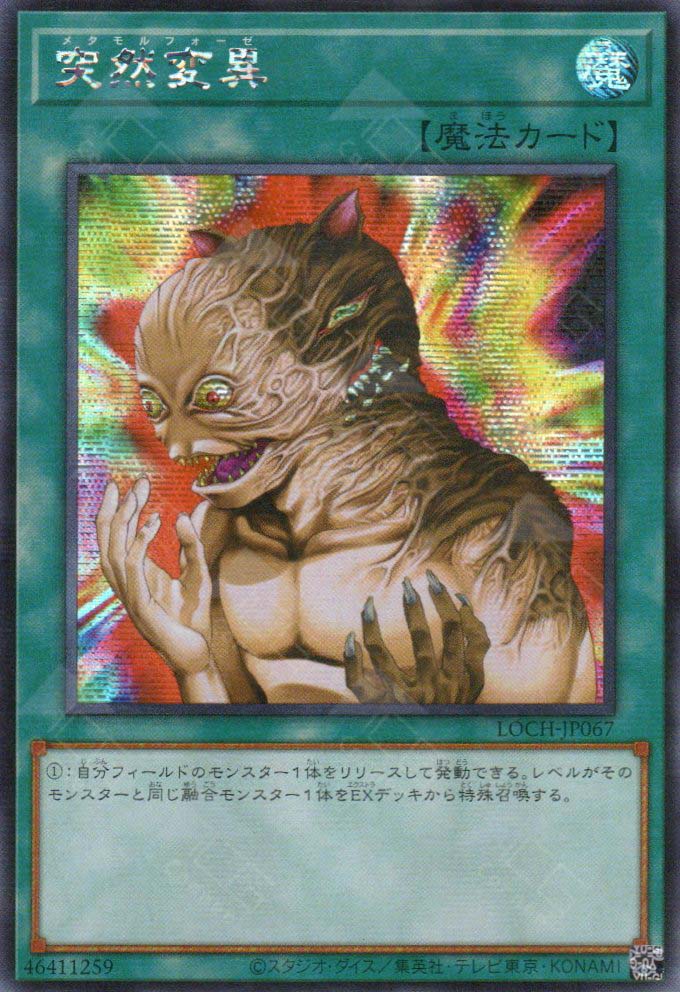 LOCH-JP067 Metamorphosis (SER)