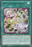 LOCR-JP038 Maliss in Underground (UR)