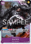 OP17-062 Kaido (SR)