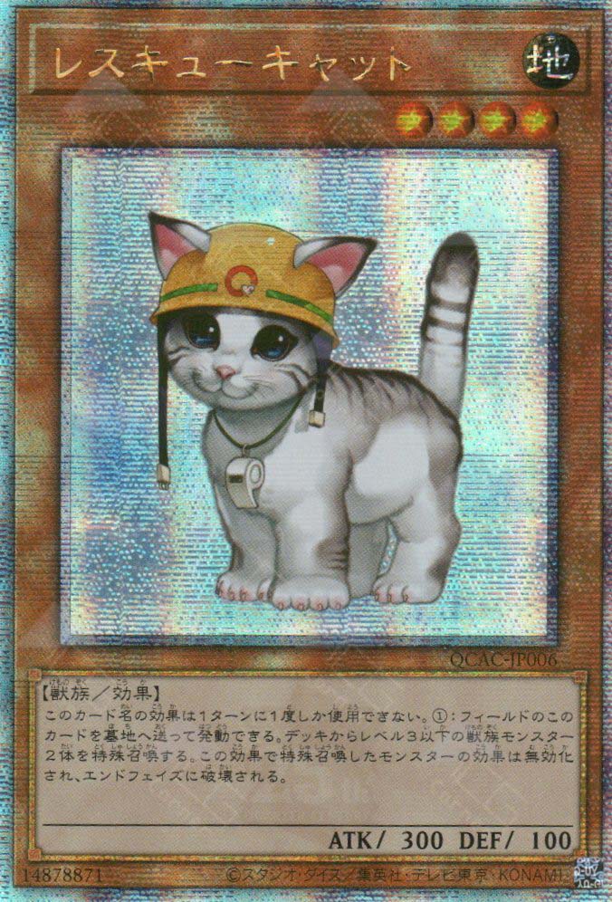 QCAC-JP006 Rescue Cat (QCSR)