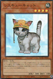 QCAC-JP006 Rescue Cat (SR)