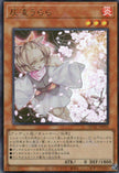 QCAC-JP050 Ash Blossom & Joyous Spring (UR)