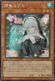 QCAC-JP052 Ghost Sister & Spooky Dogwood (SER)