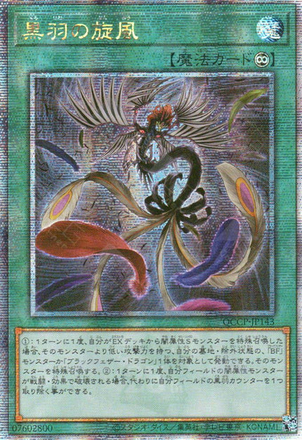 QCCP-JP143 Black Feather Whirlwind (QCSR)