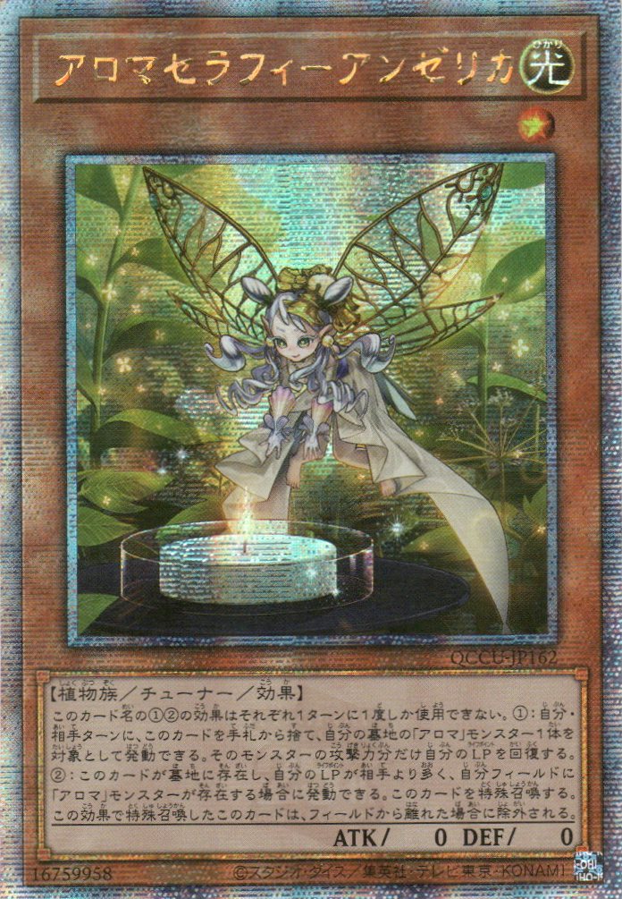 QCCU-JP162 Aromaseraphy Angelica (QCSR)