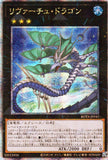 Rota-JP042 Levirtue Dragon (QCSR)