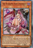 ES02-AE017 Red Blossoms from Underroot (UL)