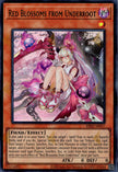ES02-AE017 Red Blossoms from Underroot (UR)
