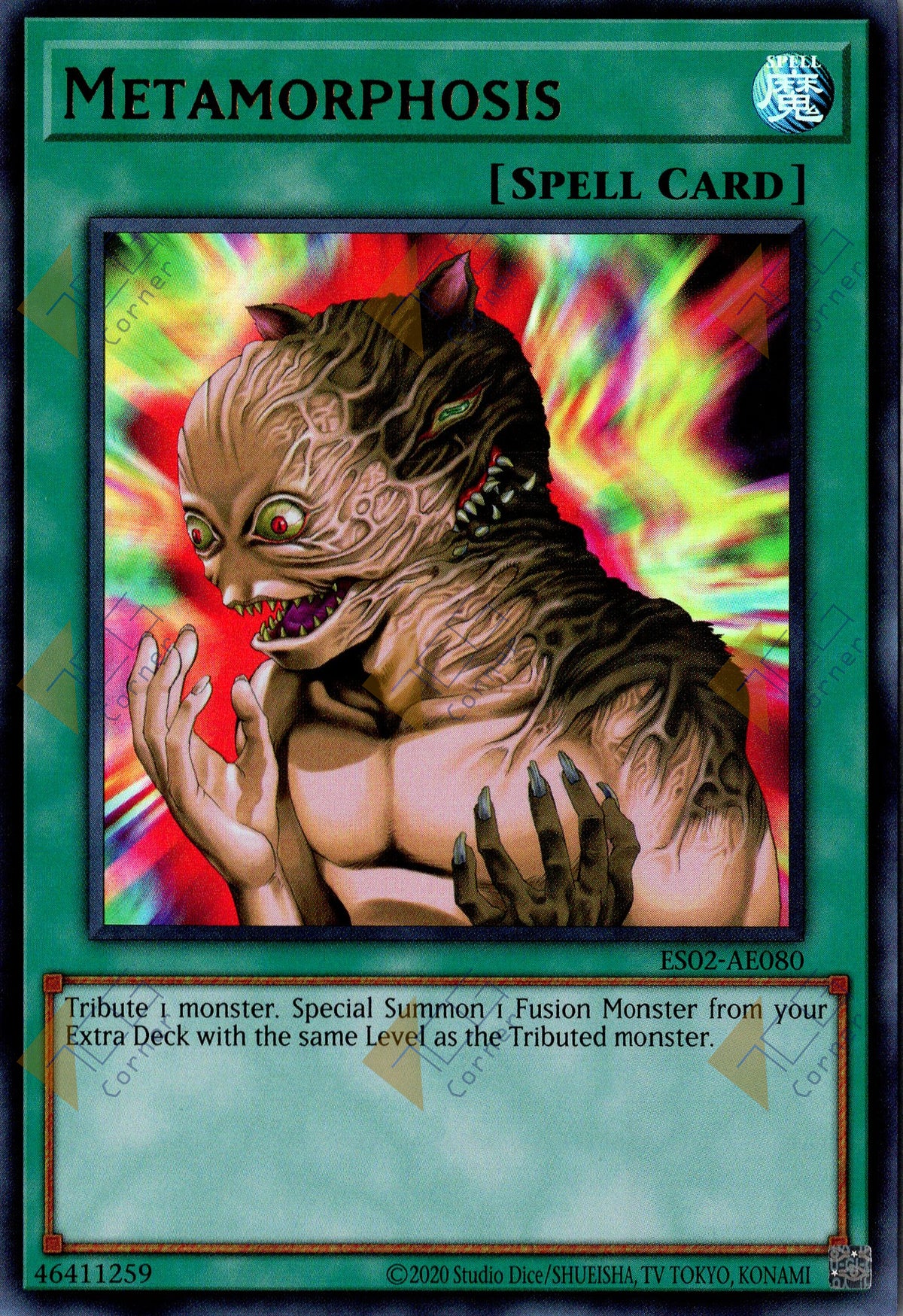 ES02-AE080 Metamorphosis (UR)