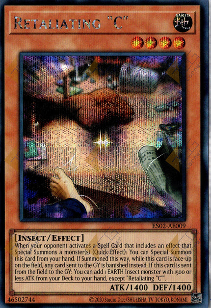 ES02-AE009 Retaliating C (SER)