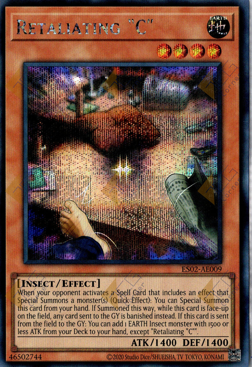 ES02-AE009 Retaliating C (SER)