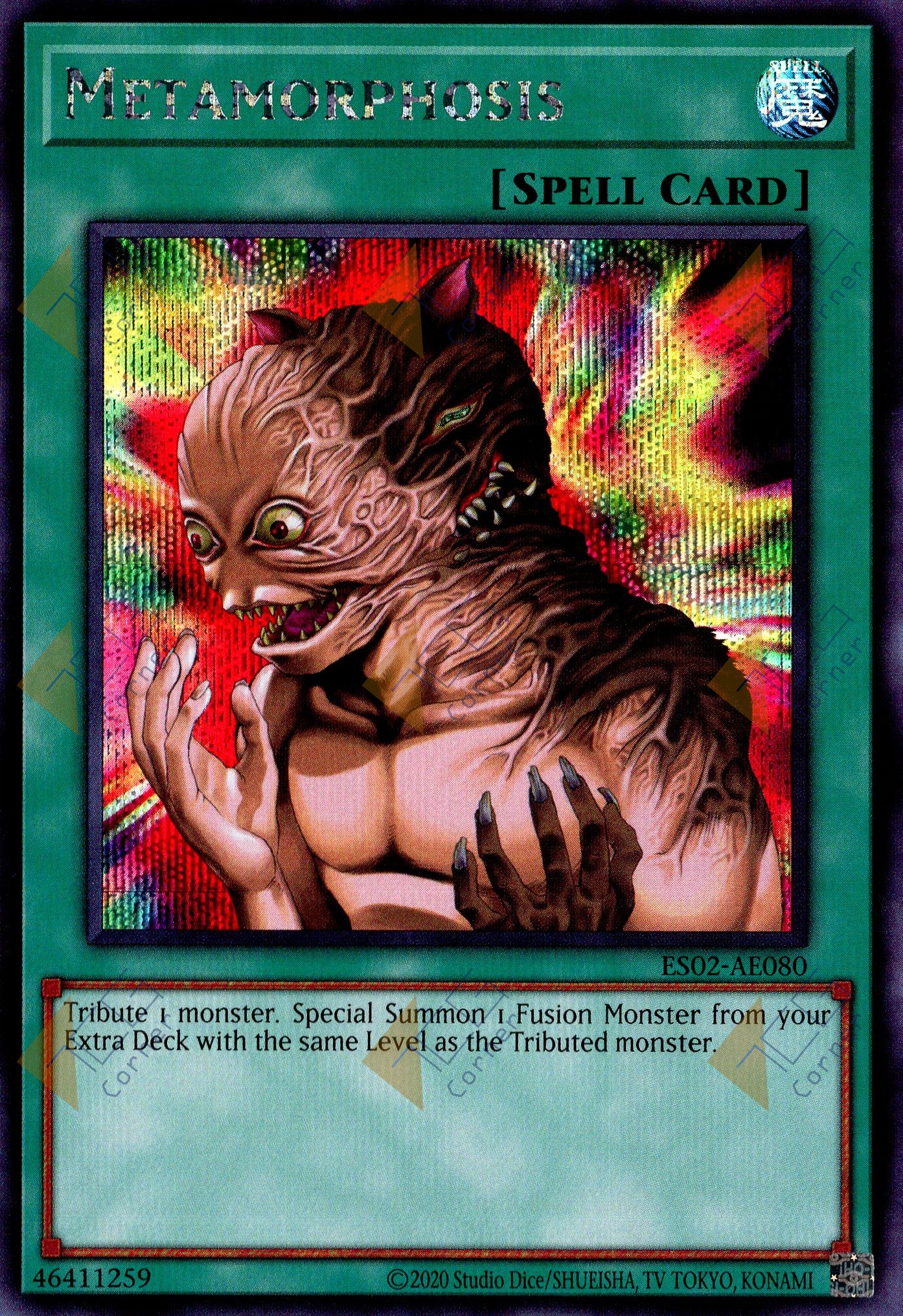 ES02-AE080 Metamorphosis (SER)