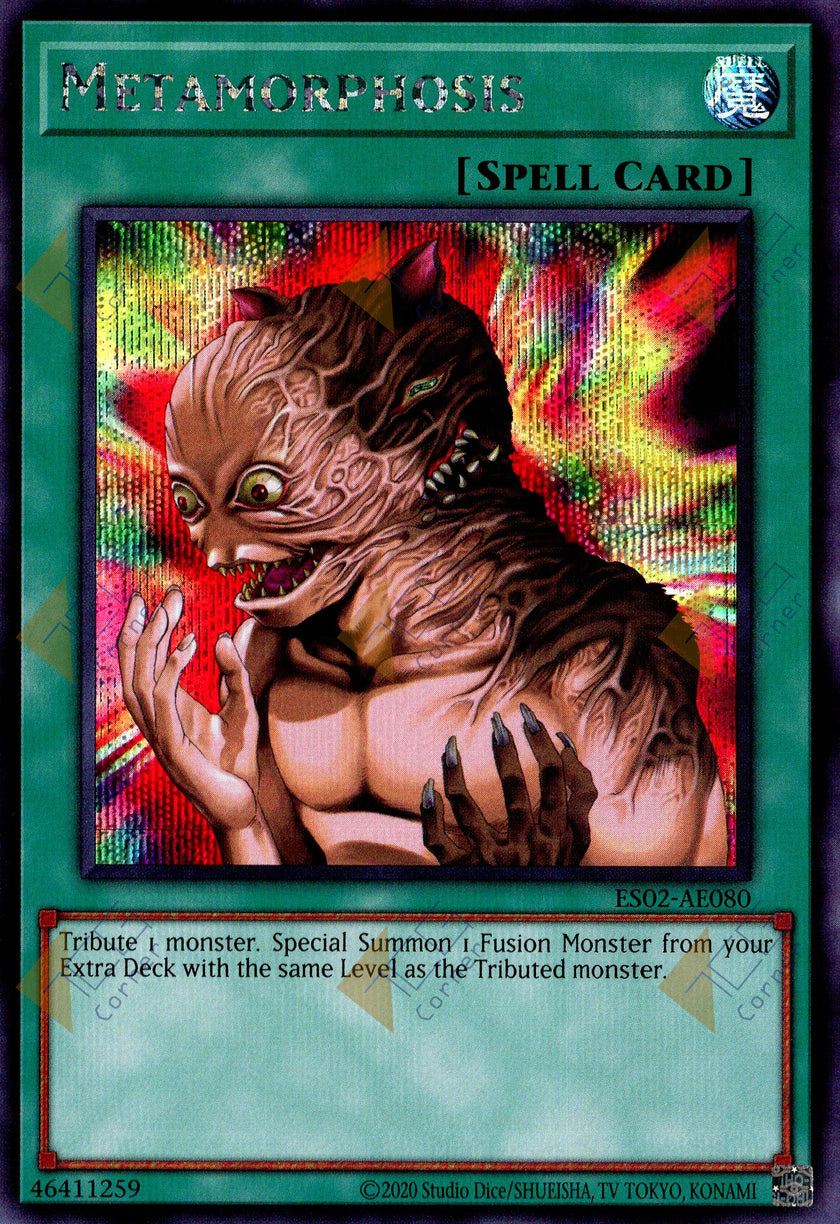 ES02-AE080 Metamorphosis (SER)