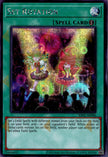 ES02-AE086 Set Rotation (SER)