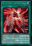 ES02-AE100 Succumbing-Song Morganite (SER)