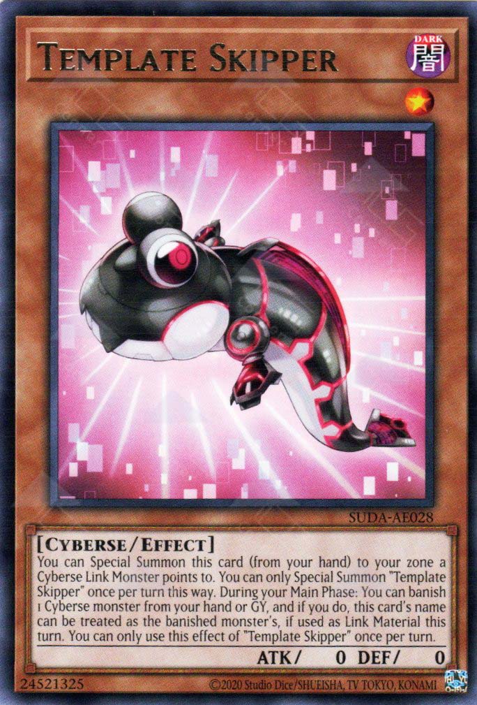 Suda-AE028 Template Skipper (N)