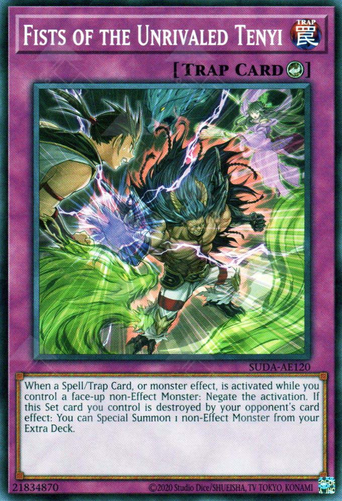 Suda-AE120 Fists of the Unrivaled Tenyi (N)
