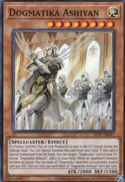 TFTV-AE017 Dogmatika Ashiyan (N)