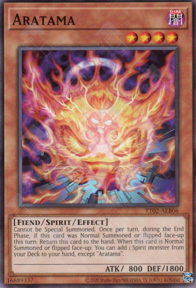 TT02-AEB06 Aratama (N)
