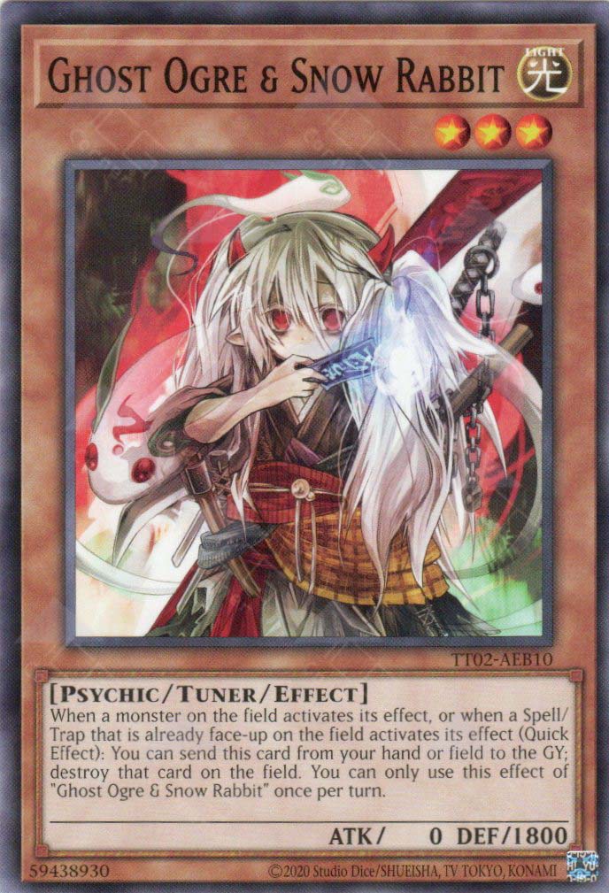 TT02-AEB10 Ghost Ogre & Snow Rabbit (N)